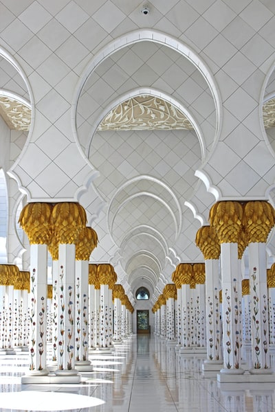 白天沙特阿拉伯扎耶德谢赫清真寺